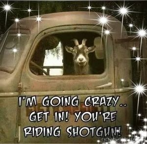 Meet your Posher, Sherry